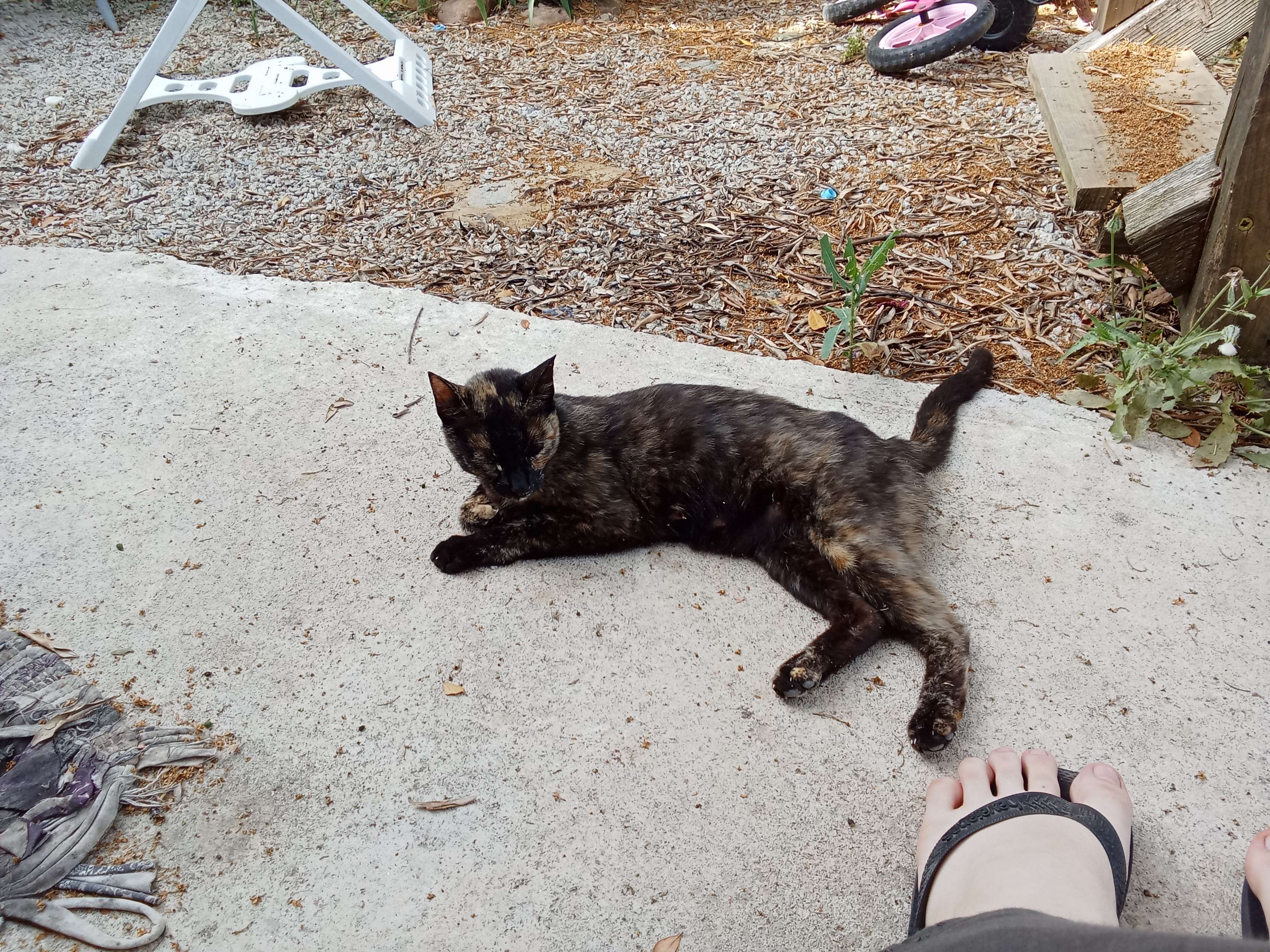 she is Do, Re and Mi's mother :3 she is very cute